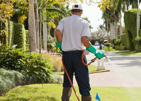 About Armstrong Creek WI Pest Control